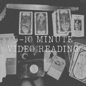 Mini Video Recorded Reading