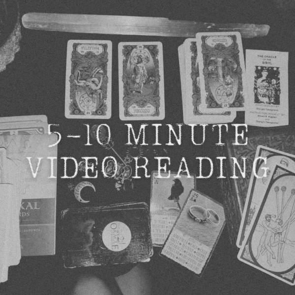 Mini Video Recorded Reading