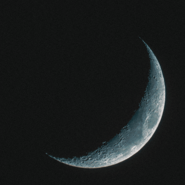 Moon Magic
